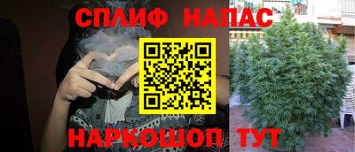 гашик Тулун