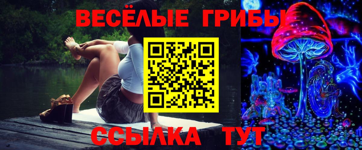 Галлюциногенные грибы ЛСД Белая Калитва